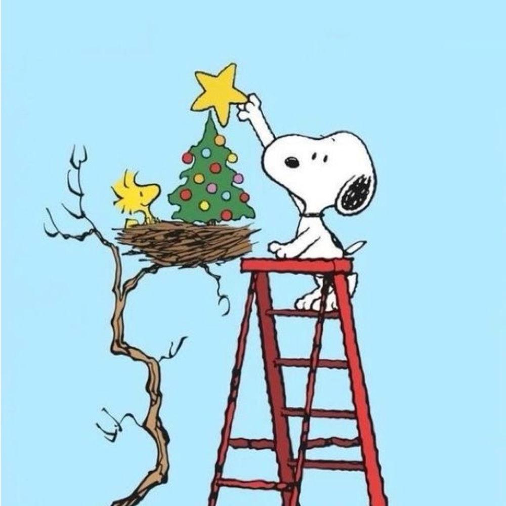 🎄Christmas shopping🎄